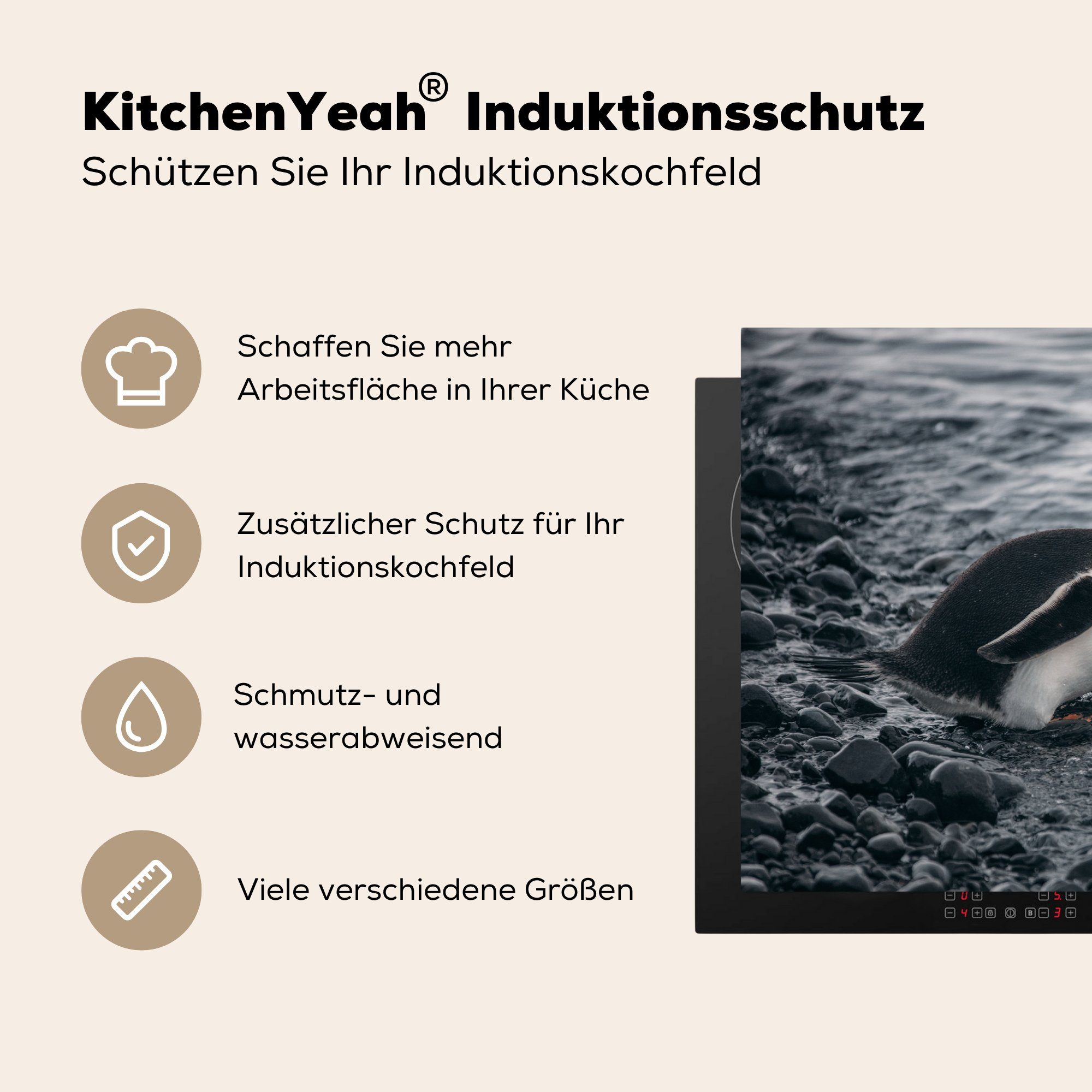 cm, Tier küche, Schutz Induktionskochfeld Vinyl, - für MuchoWow 81x52 Pinguin Ceranfeldabdeckung - Wasser Herdblende-/Abdeckplatte die - tlg), Getränk, (1