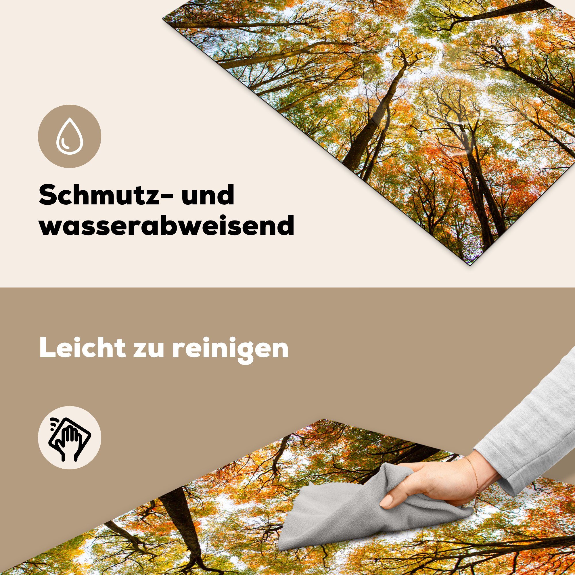 die küche, für Schutz cm, Herbst, Ceranfeldabdeckung Bäume Vinyl, 81x52 (1 MuchoWow - Wald - Herdblende-/Abdeckplatte tlg), Induktionskochfeld