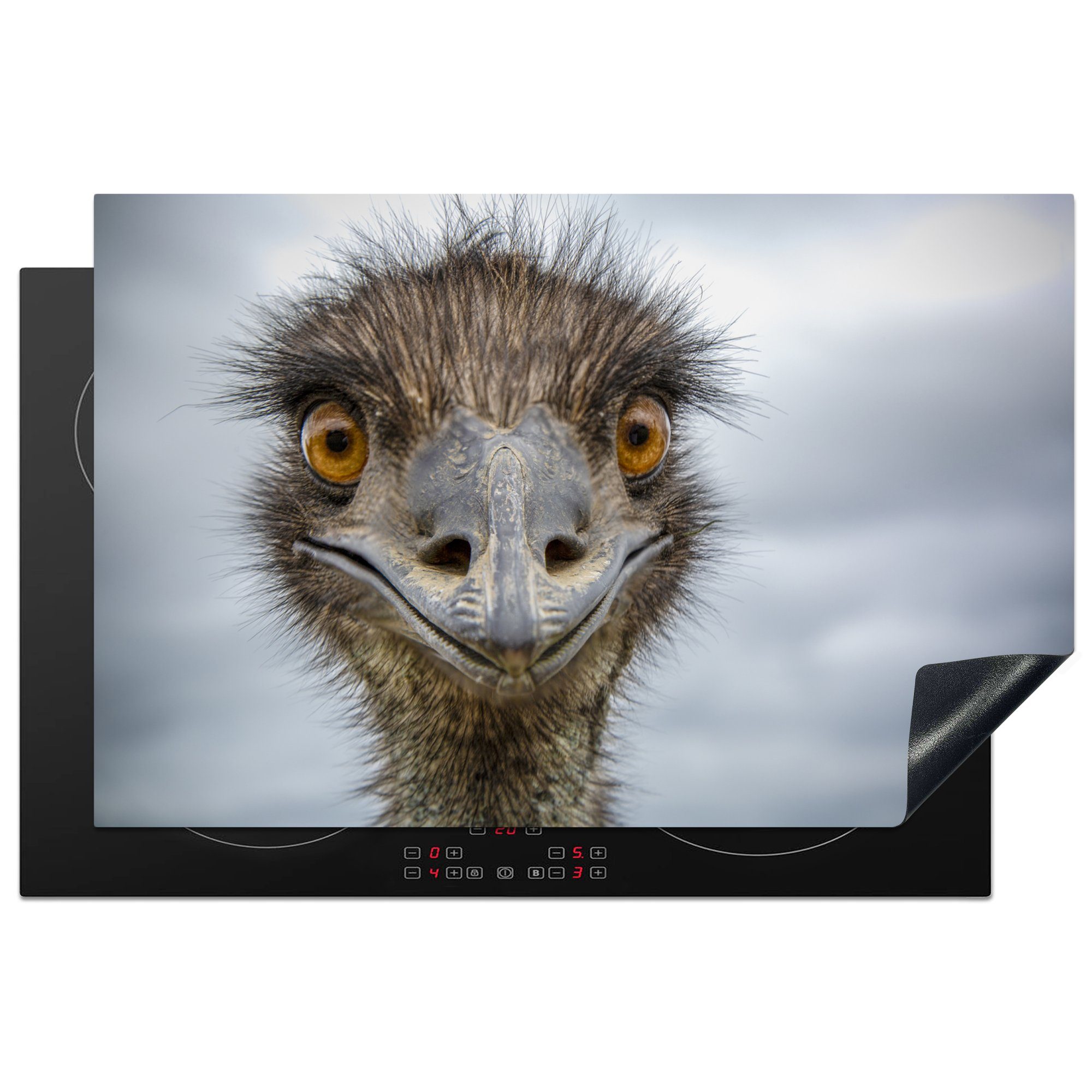 MuchoWow Herdblende-/Abdeckplatte Vogelkopf des Emu, Vinyl, (1 tlg), 81x52 cm, Induktionskochfeld Schutz für die küche, Ceranfeldabdeckung