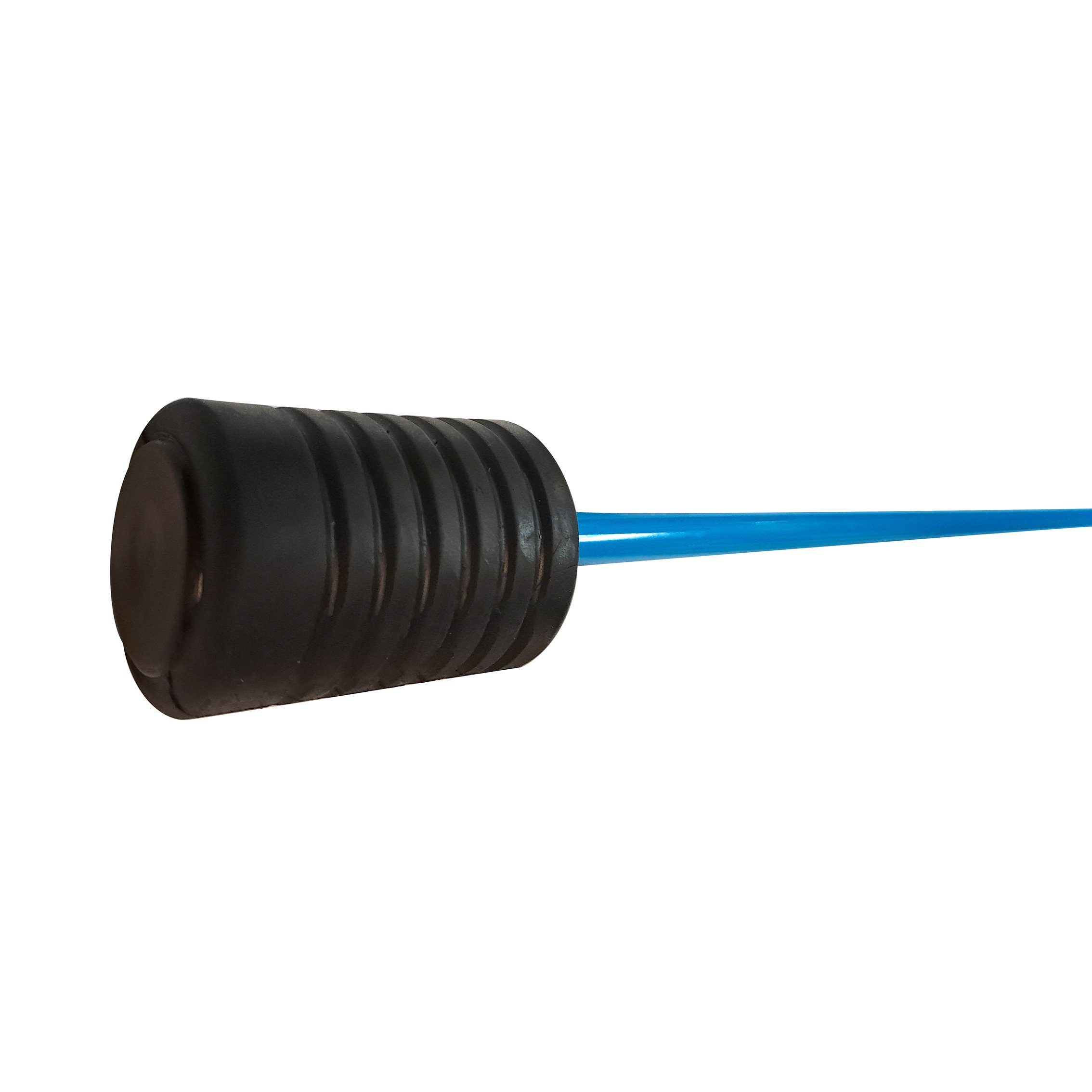 FASports Swingstick FlexiFlexi Push, Schwingstab, himmelblau (1-St)