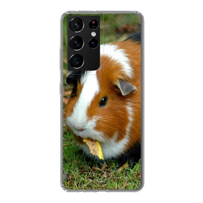 MuchoWow Handyhülle Meerschweinchen draußen Phone Case Handyhülle Samsung Galaxy S21 Ultra Silikon Schutzhülle