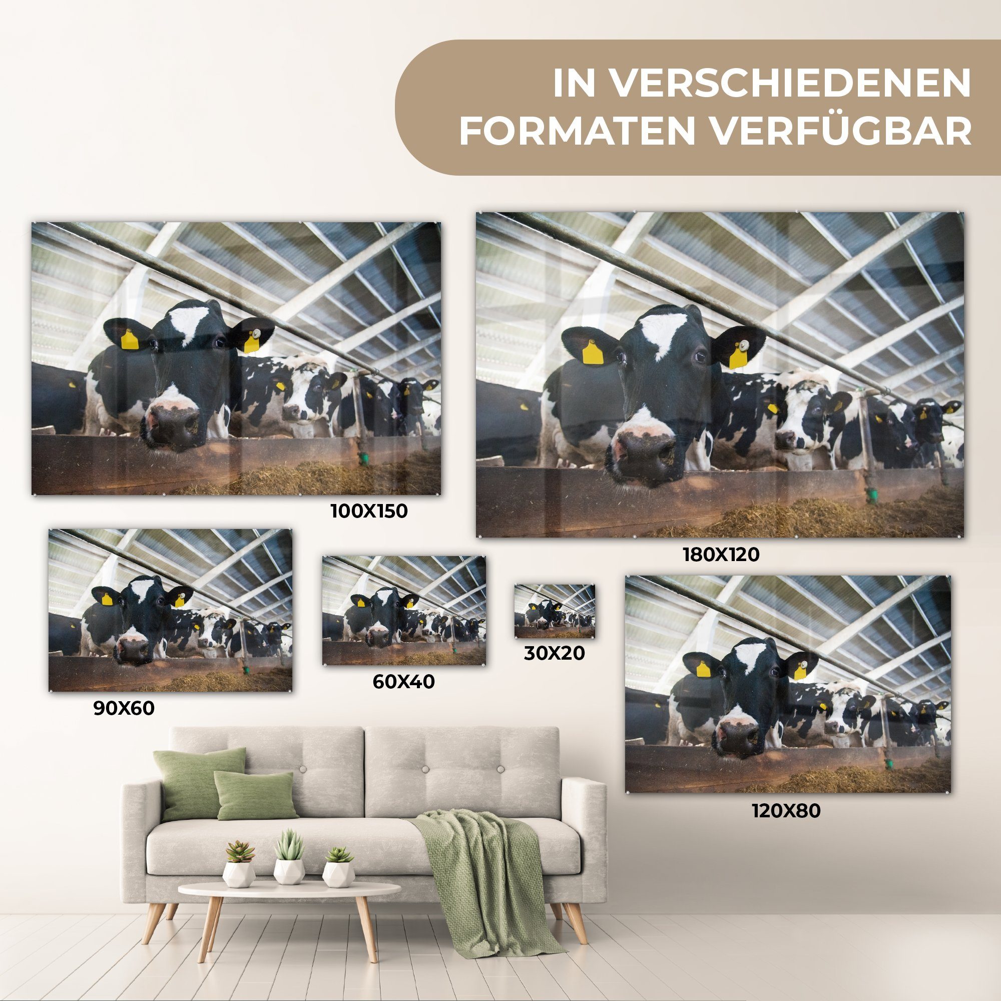 MuchoWow Acrylglasbild Kuh - Acrylglasbilder Wohnzimmer - Schlafzimmer (1 & St), Stall, Bauernhof