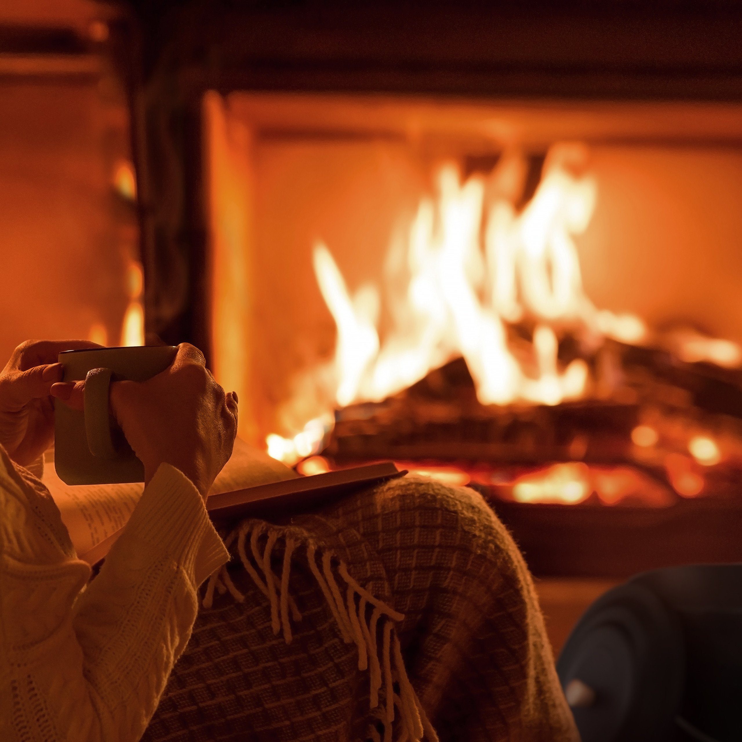 relaxdays Mülleimer Schwarzer Ascheeimer mit Deckel 12l