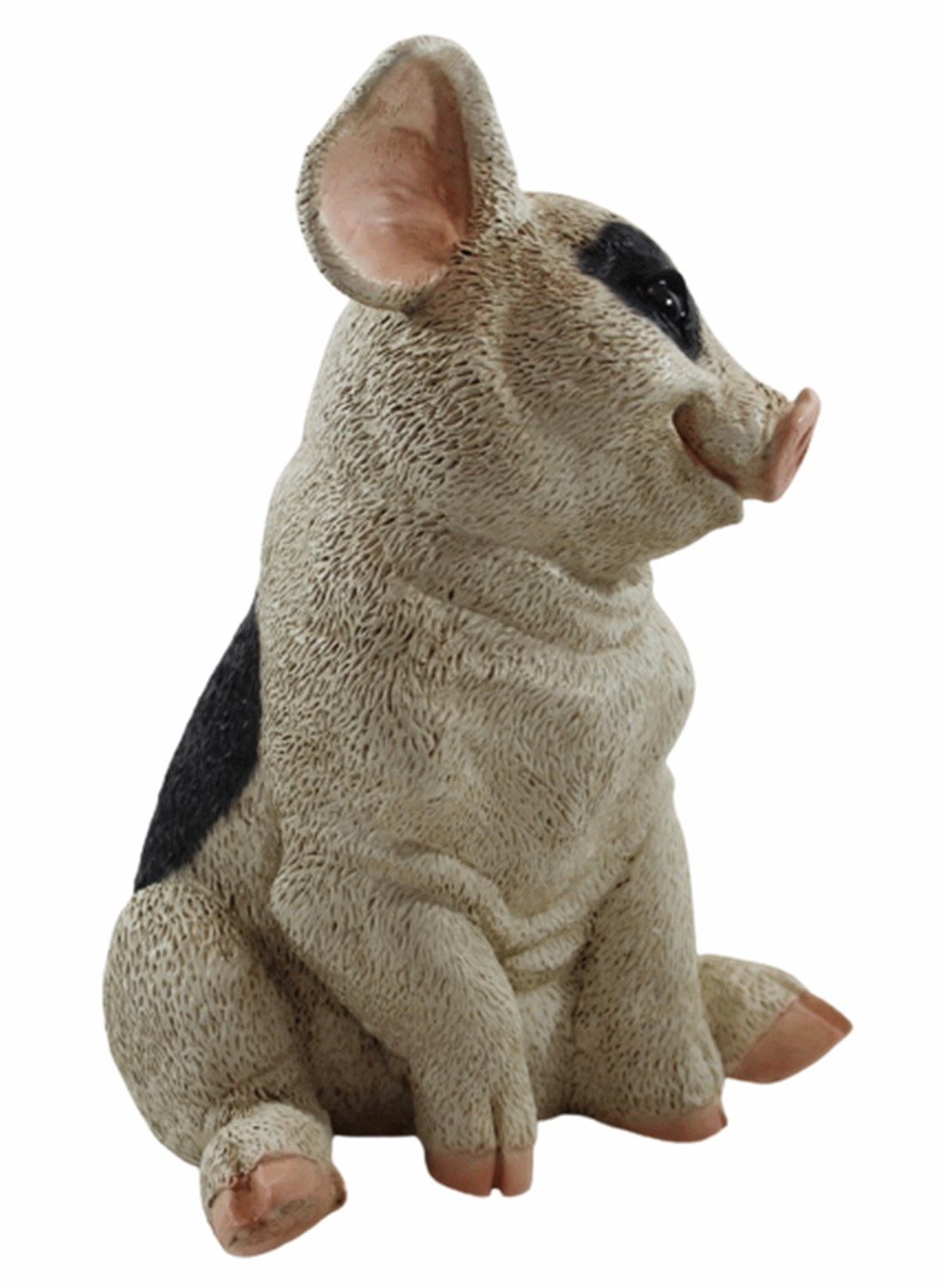 sitzend Ferkel gefleckt aus Figur cm 22 nach Castagna schauend Kollektion Schwein Castagna H Resin Tierfigur unten