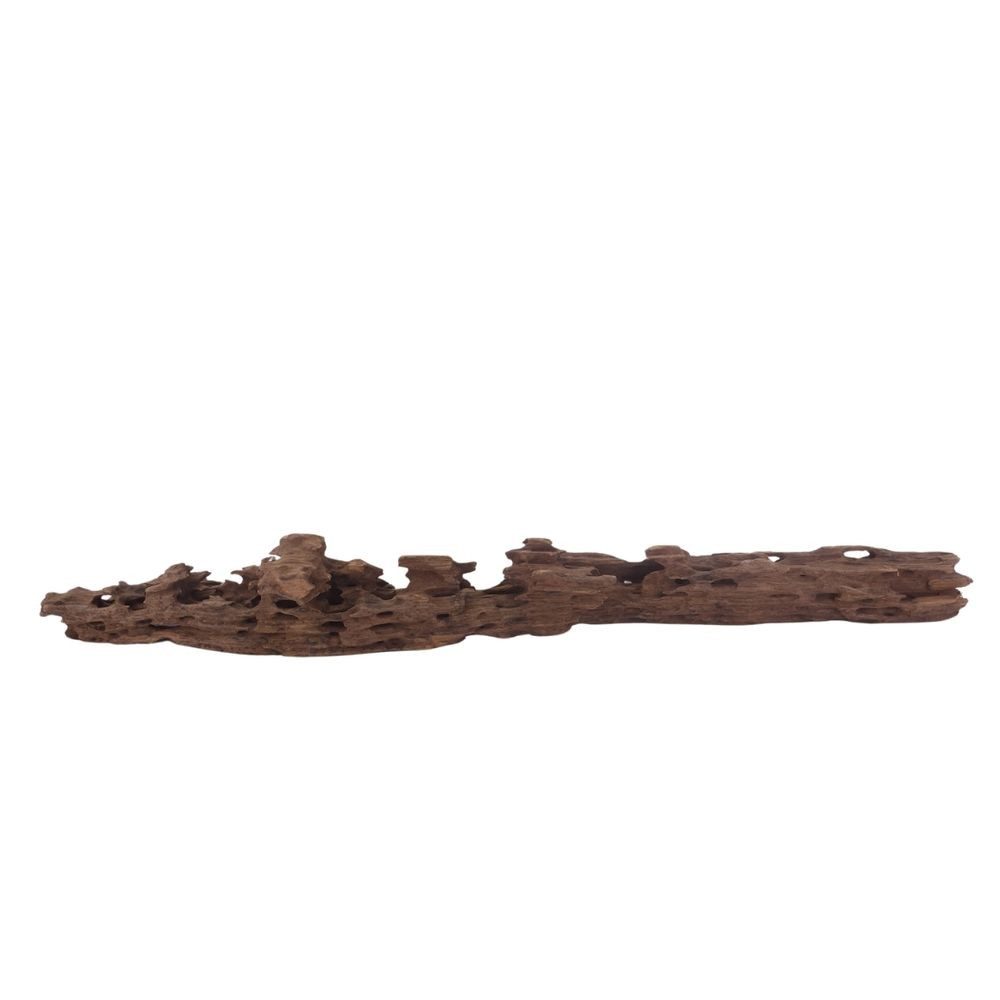 Aquaone Aquarium XL Honey Comb Wurzel Nr.3054 Holz Deko Aquascaping