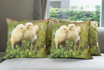 Kissenbezüge Modern Accent Doppelseitiger Digitaldruck, Abakuhaus (4 Stück), Chicks Baby-Hühner Foto