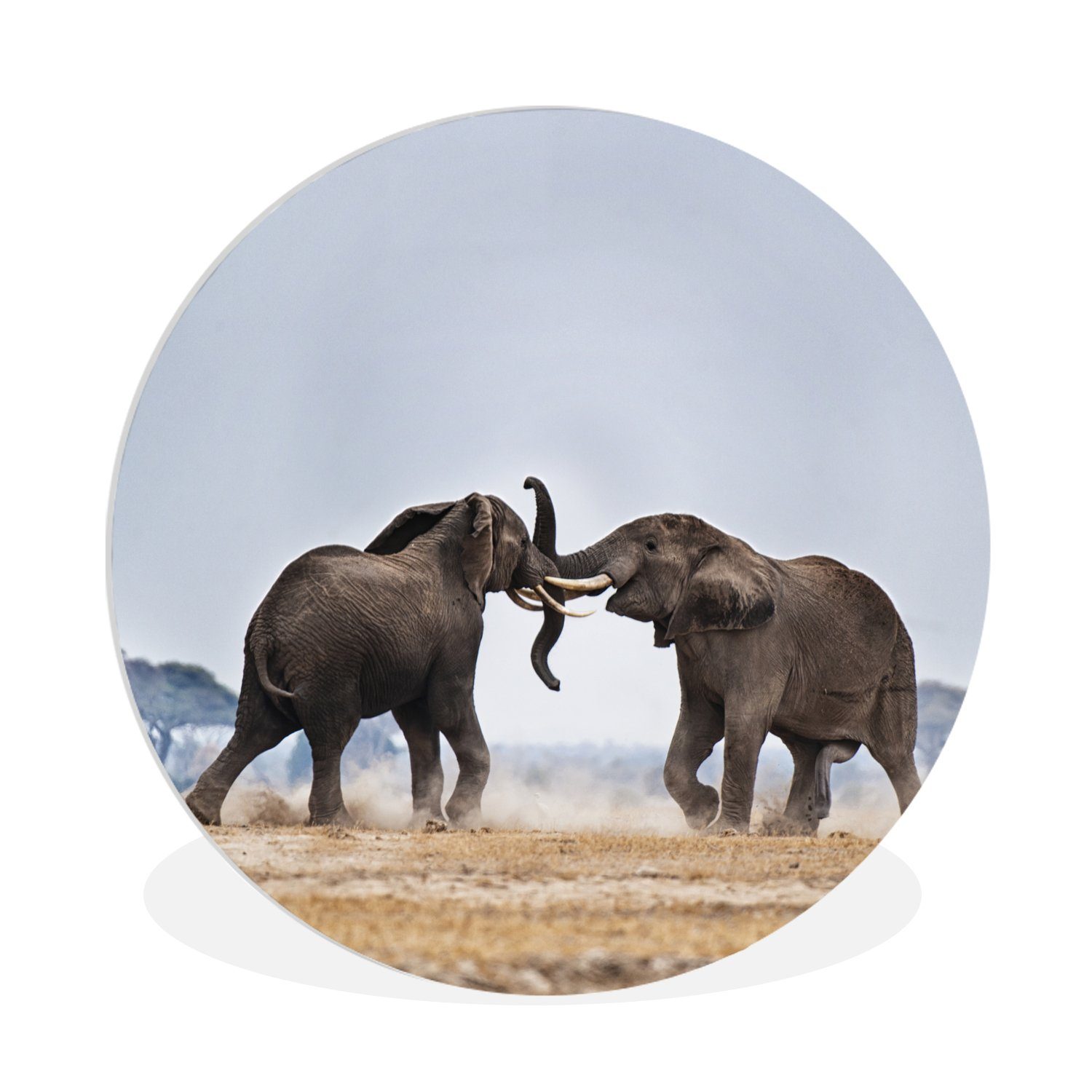 MuchoWow Gemälde Elefant - Tiere - Flachland - Natur, (1 St), Kreis Wanddekoration Forex, Rundes Wandbild, Wohnzimmer, 30x30 cm