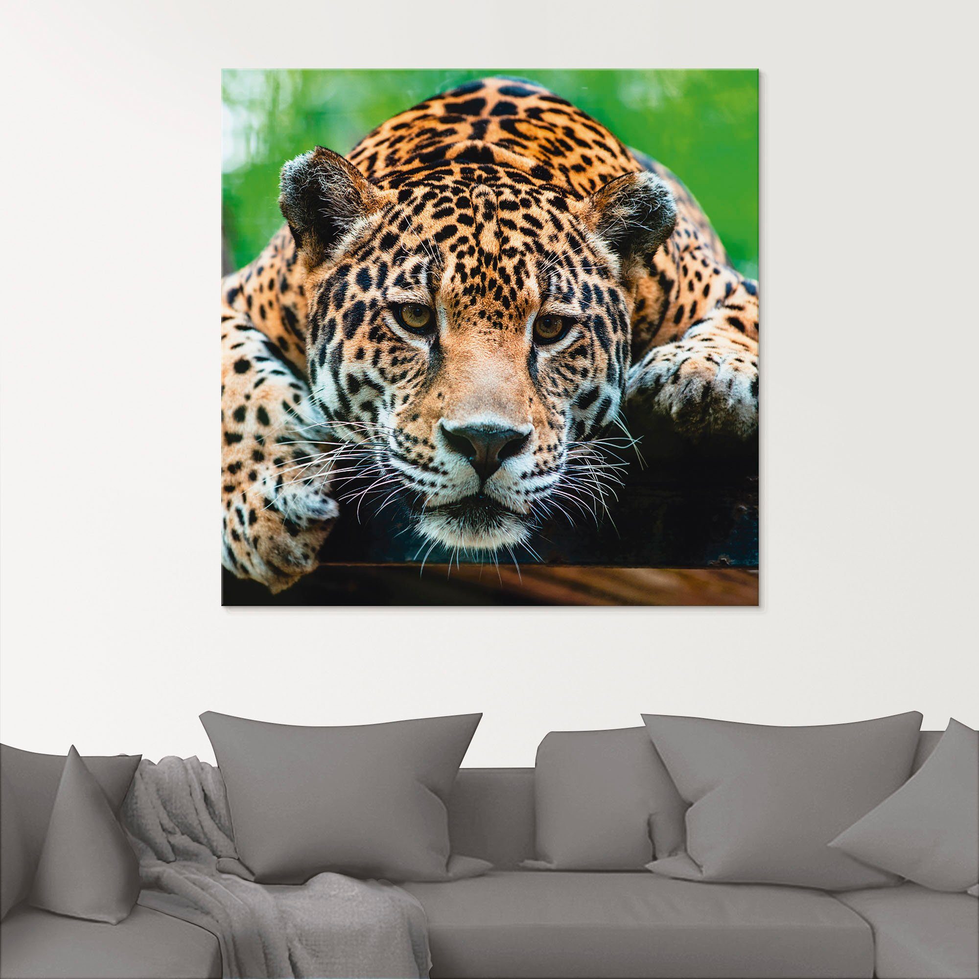 Artland Glasbild Südamerikanischer Jaguar, Wildtiere (1 St) | Bilder