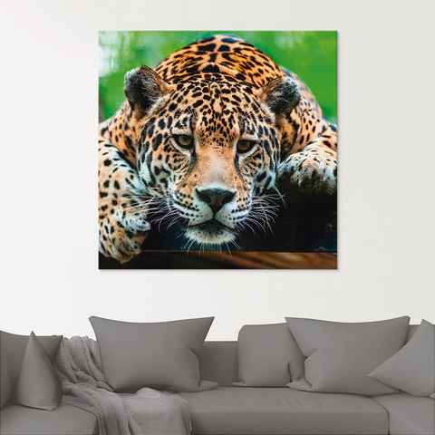 Artland Glasbild Südamerikanischer Jaguar, Wildtiere (1 St)