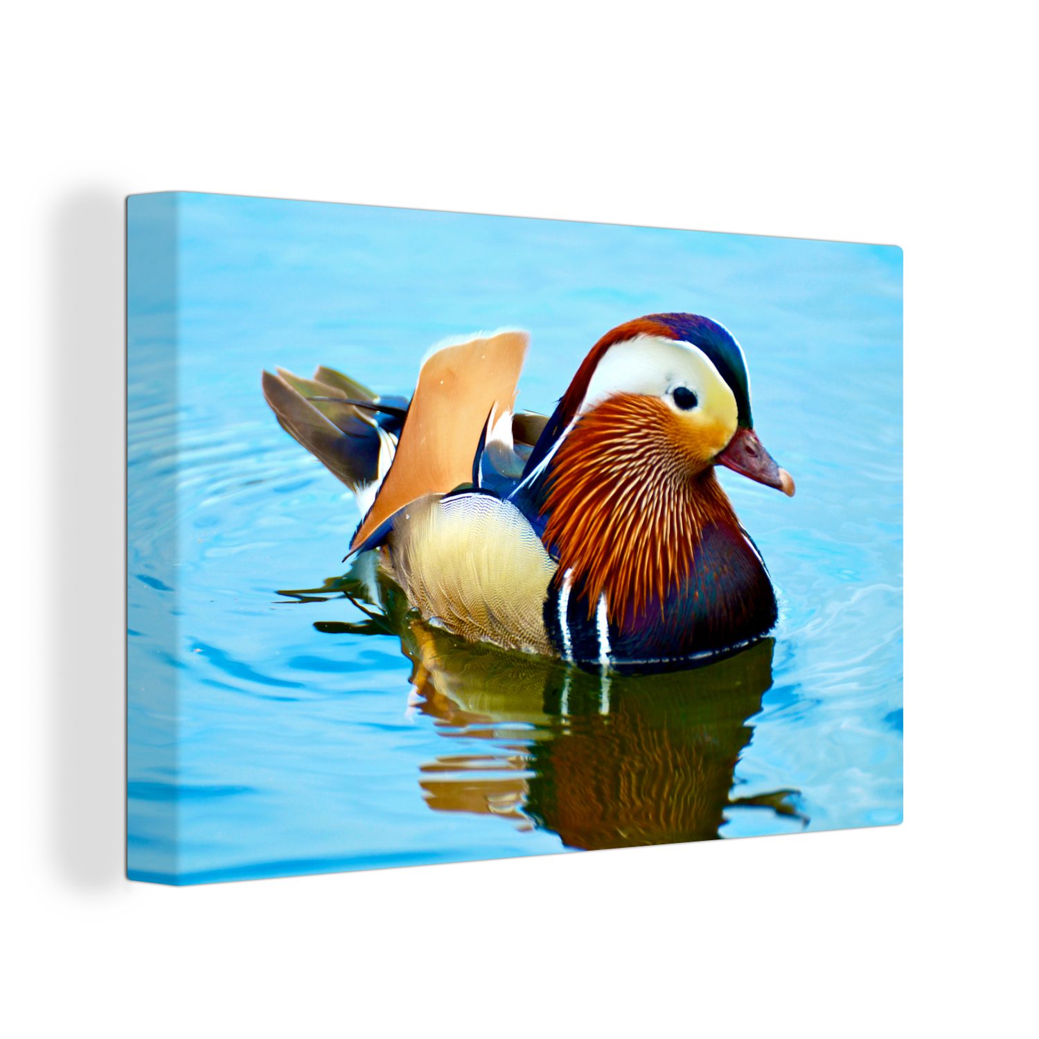 OneMillionCanvasses® Leinwandbild Mandarin-Ente in blauem Wasser, (1 St), Wandbild Leinwandbilder, Aufhängefertig, Wanddeko, 30x20 cm