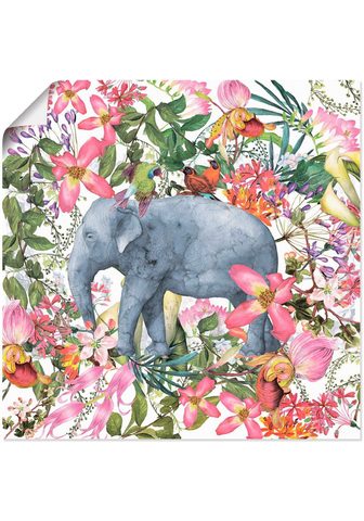 Artland Paveikslas »Elefant im Blüten Dschunge...