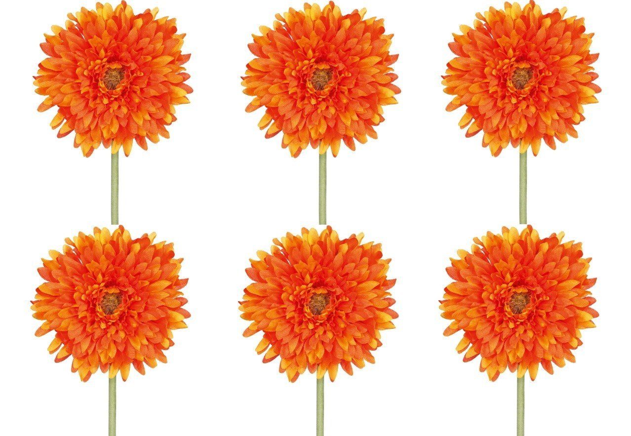 Kunstpflanze, Gasper, Höhe 60 Höhe Orange Gesamtmaße: 53cm Stiellänge H:60cm D:10cm Blütendurchmesser Kunststoff, 10cm, cm, 60cm