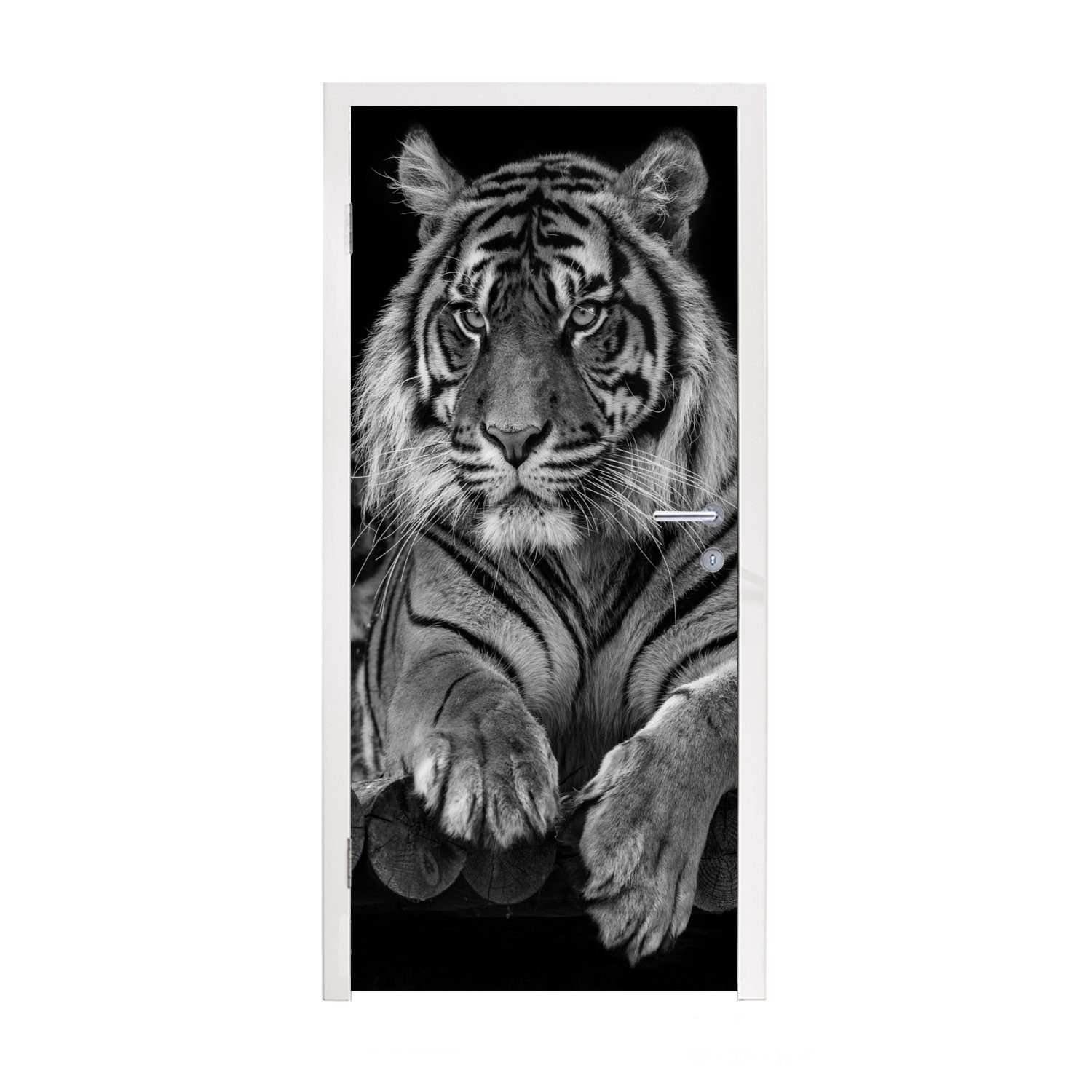 für Türaufkleber, MuchoWow Fototapete (1 schwarzem bedruckt, 75x205 Tür, Sumatra-Tiger cm Türtapete St), Hintergrund, Matt, auf