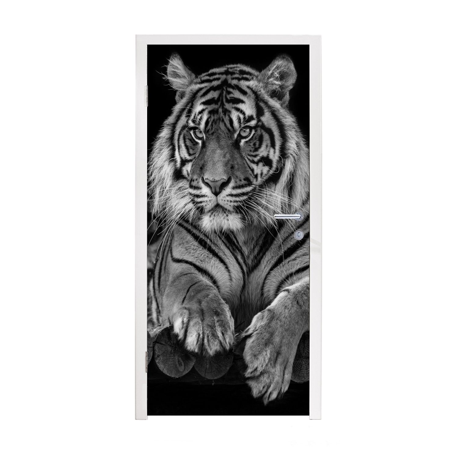 MuchoWow Türtapete Sumatra-Tiger auf schwarzem Hintergrund, Matt, bedruckt, (1 St), Selbstklebende Tapete, Folie für Möbel, 75x205 cm