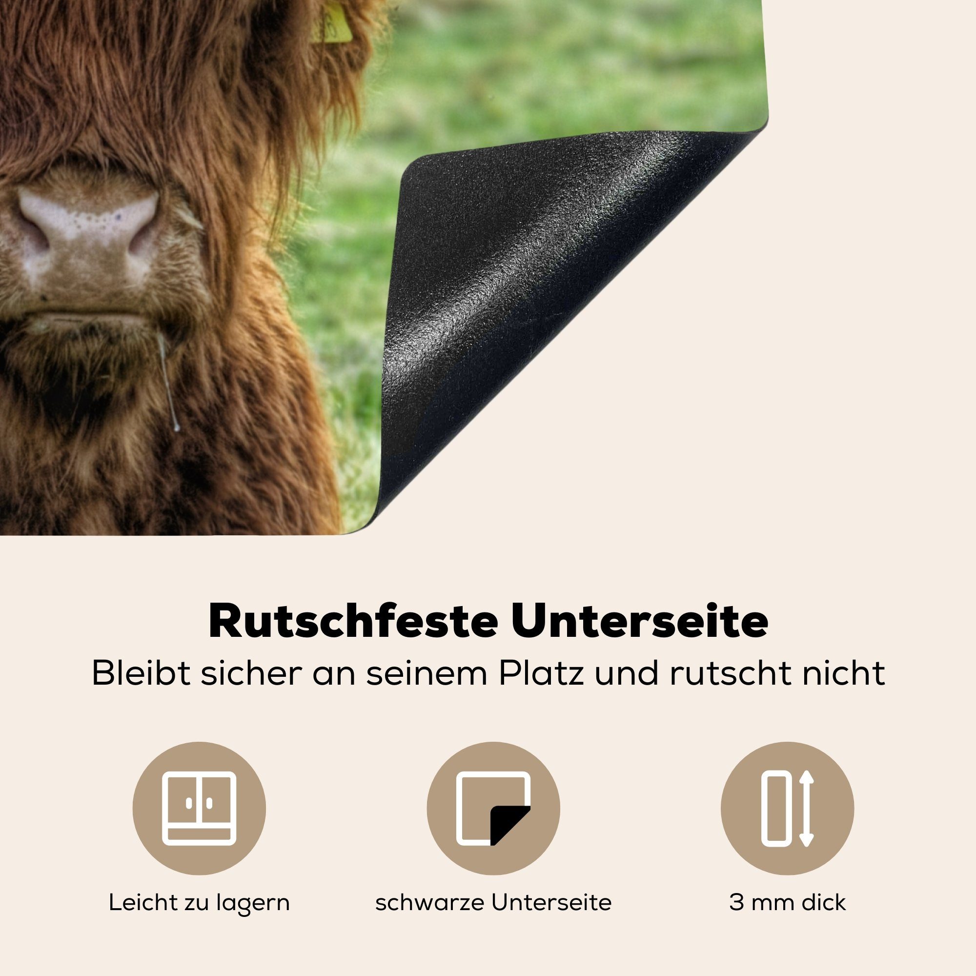 Ceranfeldabdeckung cm, die Vinyl, (1 Highlander 59x52 MuchoWow Herdblende-/Abdeckplatte Induktionsmatte Hörner, für tlg), küche, - Kuhkopf Schottischer -