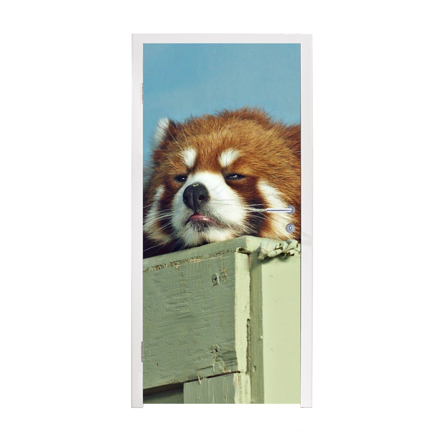supergünstiger Preis MuchoWow Türtapete Panda - Holz Fototapete Rot, St), - cm bedruckt, 75x205 Matt, für Türaufkleber, (1 Tür