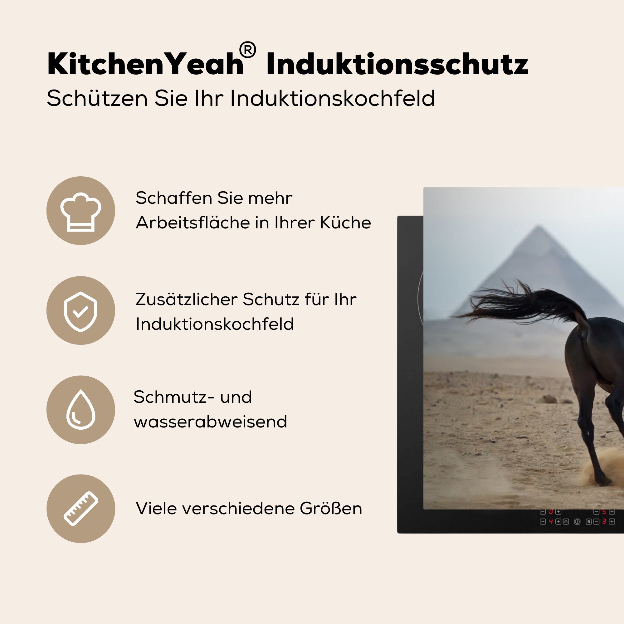 küche, Ceranfeldabdeckung (1 - 81x52 - Induktionskochfeld - die Ägypten MuchoWow tlg), Vinyl, Herdblende-/Abdeckplatte Wüste, Araber cm, für Schutz Pferd