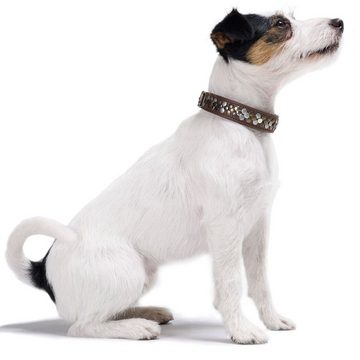 Hunter Tierbedarf Hunde-Halsband Arizona Up