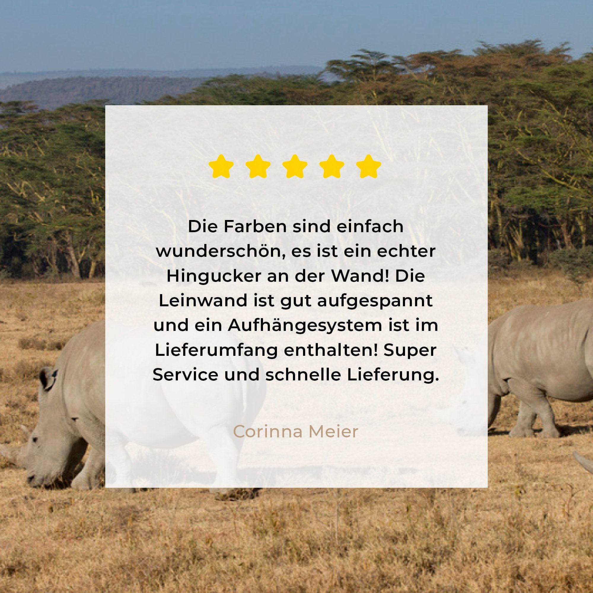 - Nashörner Safari, Leinwandbild Aufhängefertig, Leinwandbilder, - cm Weiden Wanddeko, (1 OneMillionCanvasses® 30x20 Wandbild St),