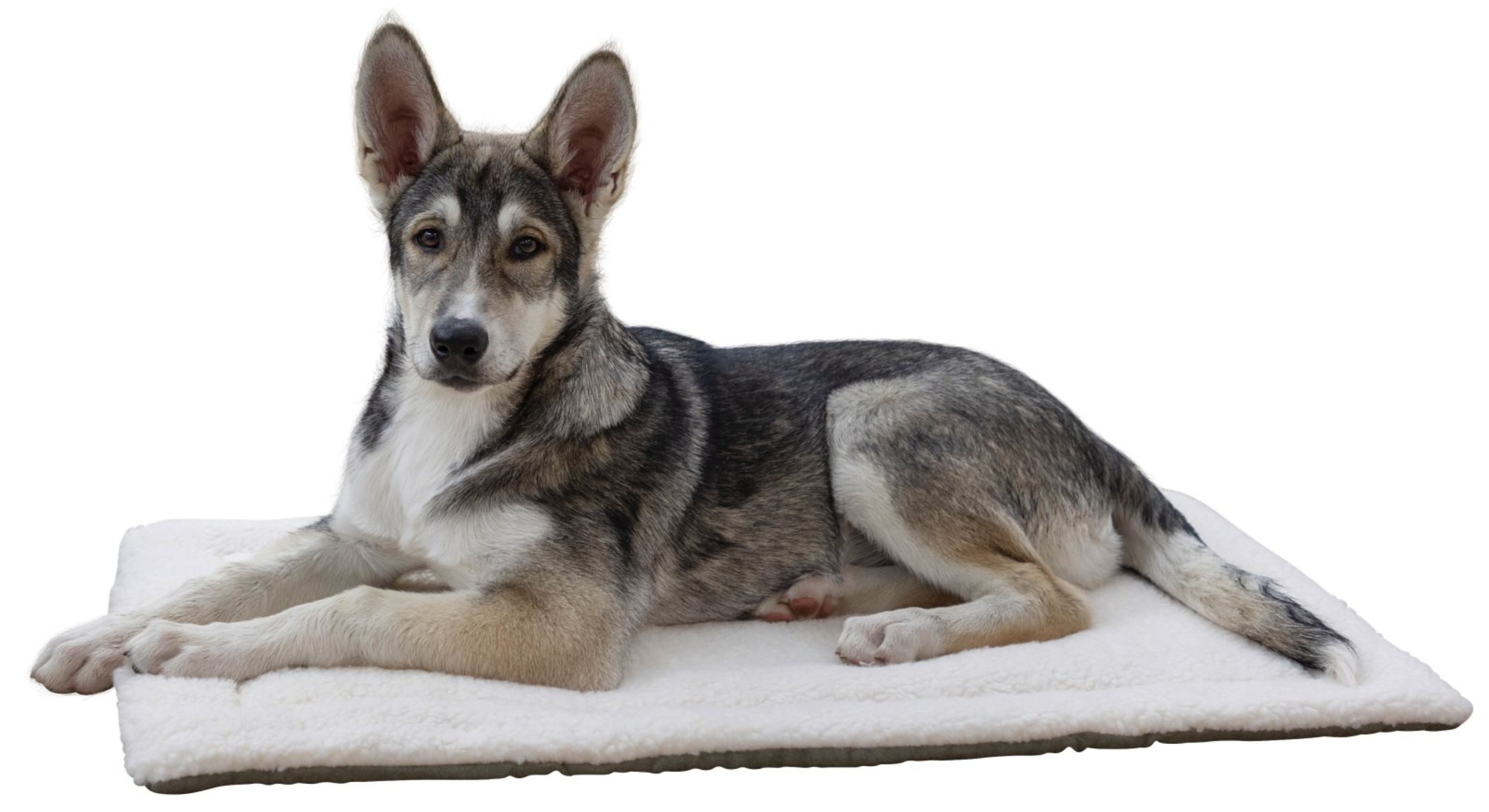 Kerbl Tierbett Kerbl Liegekissen Cleo Hunde und Katzen 58x36x4cm 82424