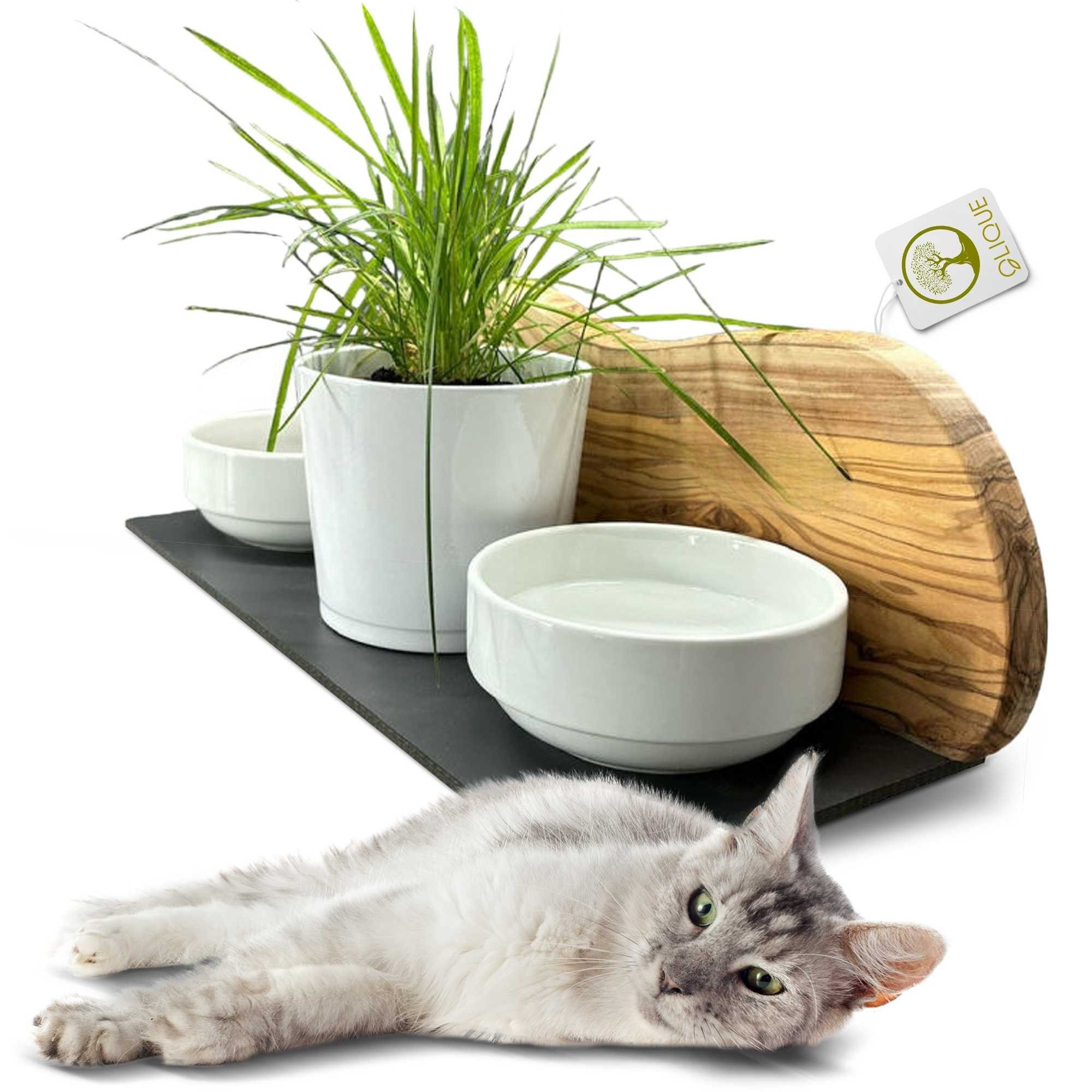 OLIQUE Futterstation für Katzen aus Olivenholz - Handgefertigte Katzenfutterstation, Porzellan