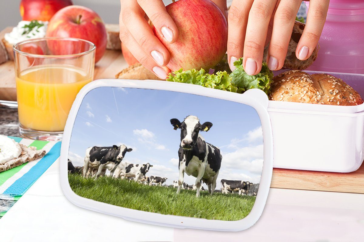 (2-tlg), - weiß Kinder - Brotbox Tiere Erwachsene, - Kunststoff, Lunchbox und - MuchoWow Mädchen Sonne Jungs und für Kühe Bauernhof, Brotdose, Gras für