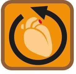 Janastyle Stützkniestrümpfe Fresh Travel, idealer Reise- und Alltagsbegleiter, 8-10 mmHg, (Set, 3 Paar) hoher Tragekomfort, wirkt antibakteriell, keine Druckstellen