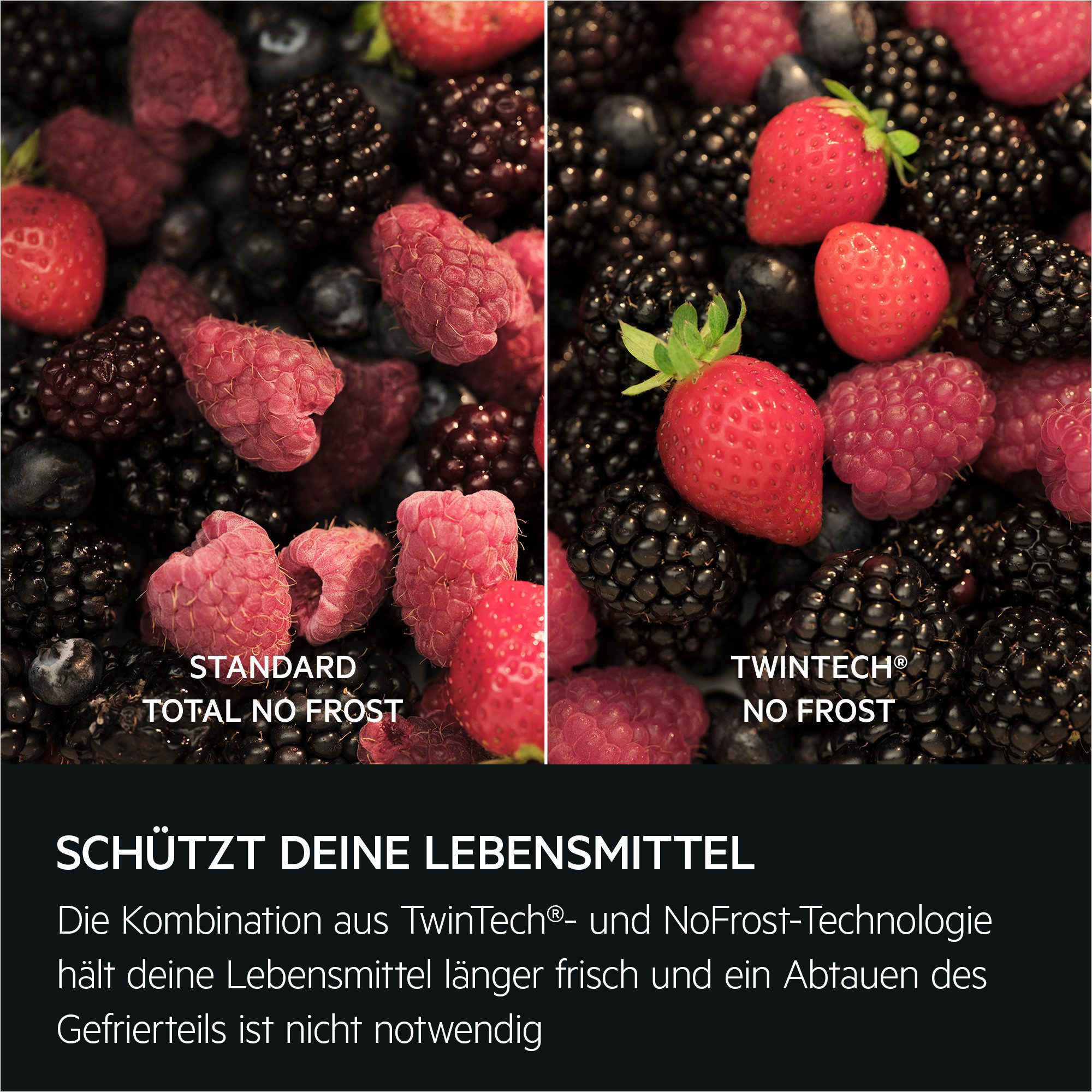 AEG Einbaukühlgefrierkombination Serie 6000 TSC6N183ES, 177,9 cm hoch, 54 cm breit, 98 L, LowFrost-weniger Eisbildung, Schnellgefrierfunktion, Schlepptür