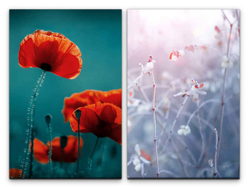Sinus Art Leinwandbild 2 Bilder je 60x90cm Mohnblume Blumen Frost Zweige Naturaufnahme Dekorativ Makrofotografie