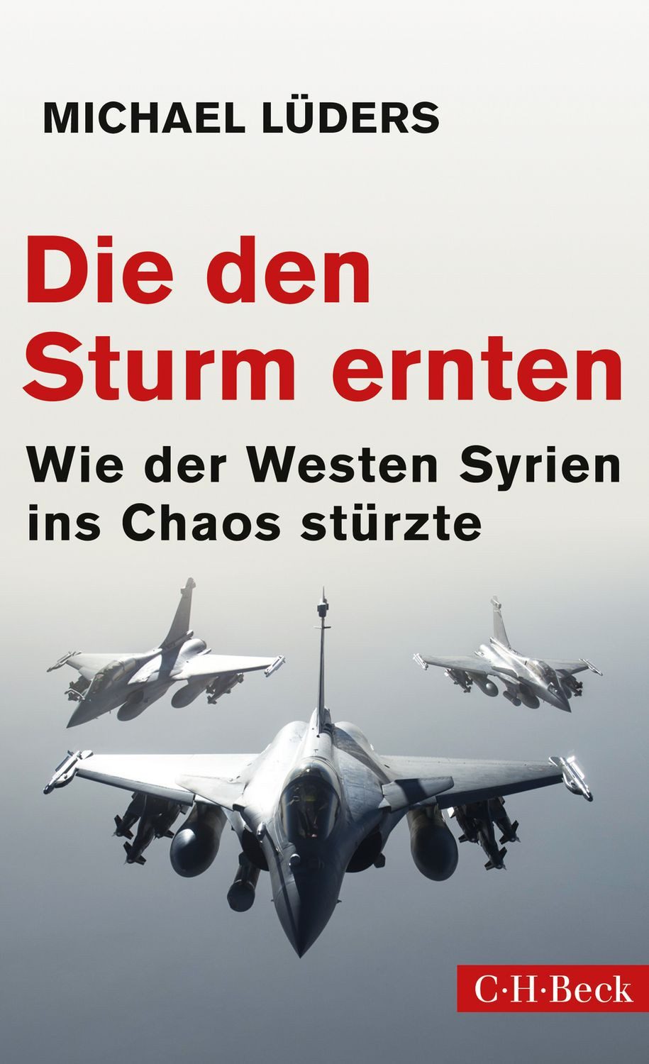 Die den Sturm ernten / Michael Lüders