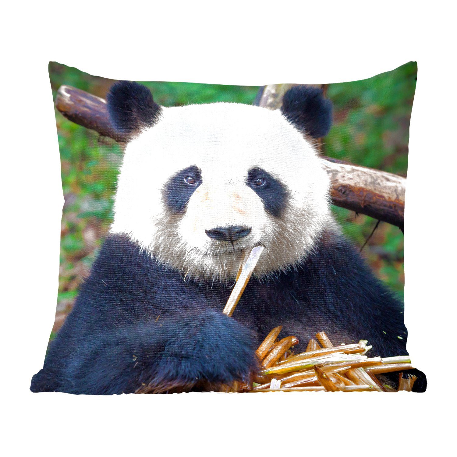 MuchoWow Dekokissen Panda - Bambus - Natur, Zierkissen mit Füllung für Wohzimmer, Schlafzimmer, Deko, Sofakissen | Dekokissen
