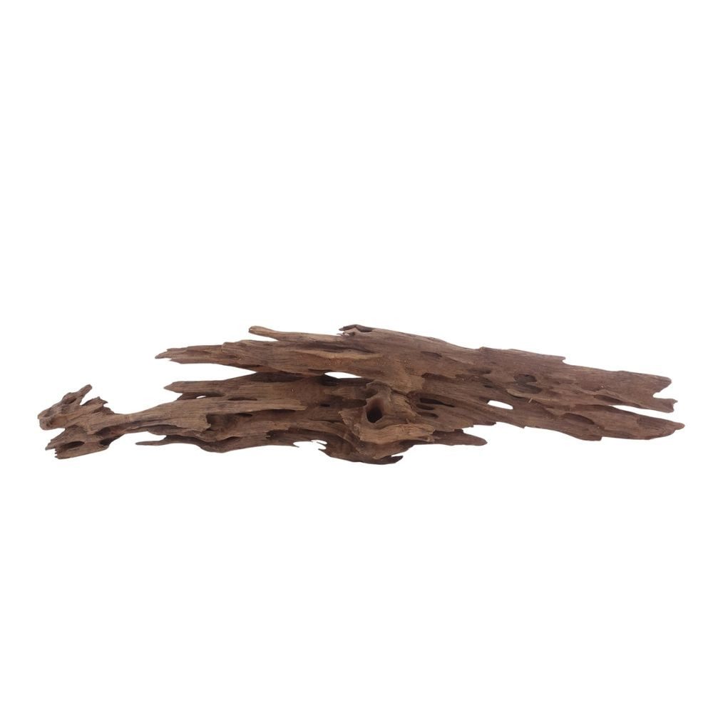 Aquaone Aquarium XL Honey Comb Wurzel Nr.3042 Holz Deko Aquascaping