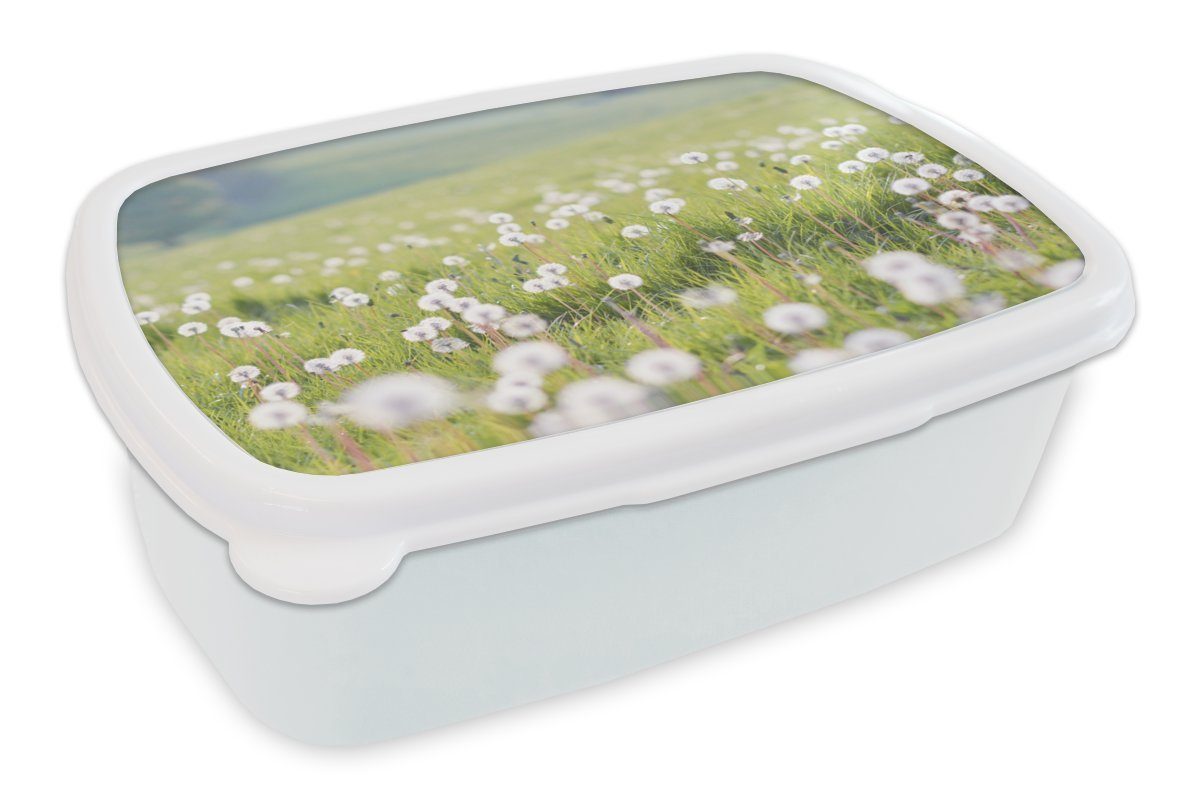 MuchoWow Lunchbox Frühling - Löwenzahn und für Erwachsene, - und Kunststoff, Farben, Mädchen Jungs für Brotdose, weiß Brotbox (2-tlg), Kinder