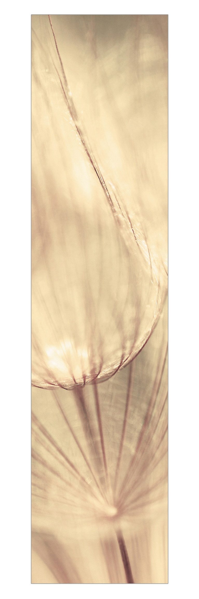 Bilderdepot24 Schiebegardine modern Flächenvorhang blickdicht Pusteblumen Sepia (1 St), halbtransparent, Wohnzimmer große Flächengardine lichtdurchlässig für Klemm-System