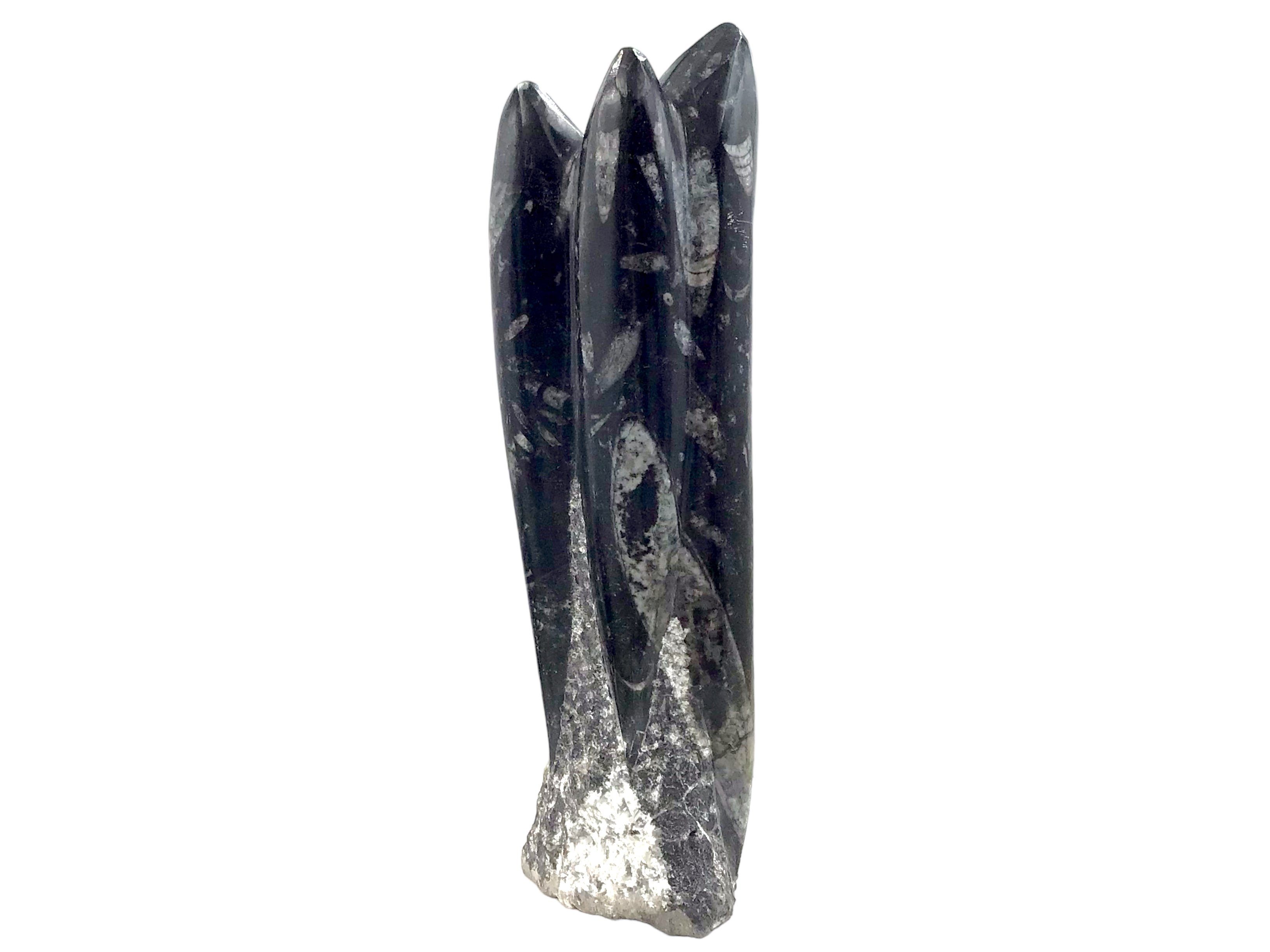 Steinfixx® Skulptur Orthoceras Skulptur (1 St)