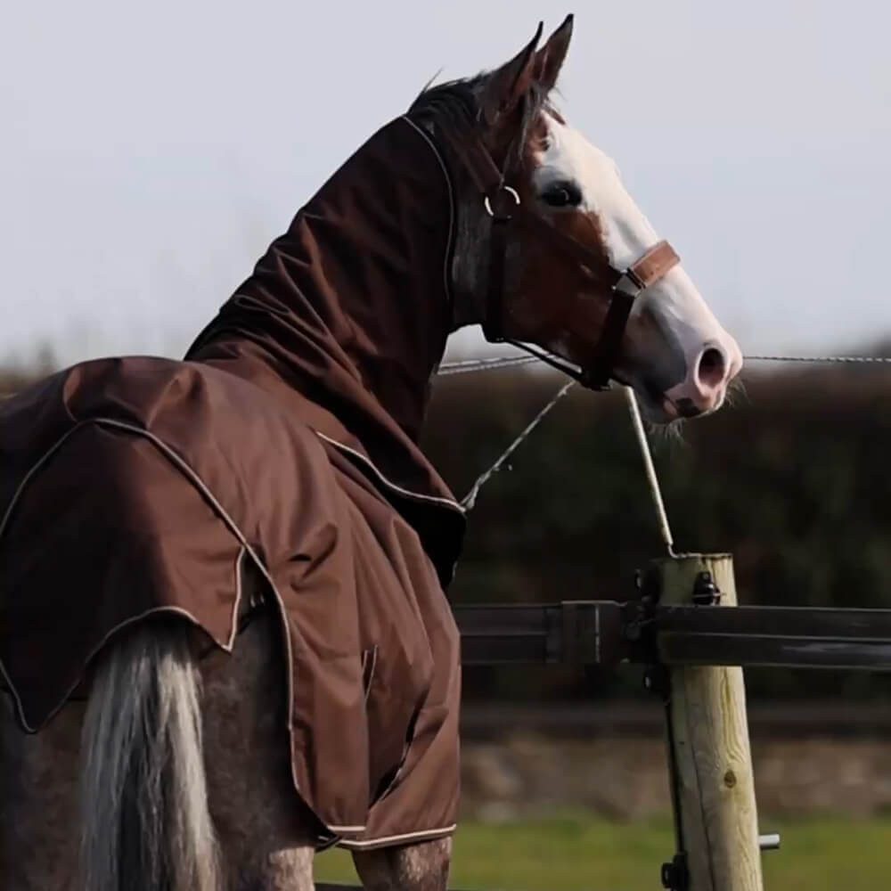Bucas Pferde-Regendecke Bucas Irish Turnout 50g + Neck Set