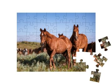 puzzleYOU Puzzle Herde amerik. Quarter Horse Ranch Pferde, Montana, 48 Puzzleteile, puzzleYOU-Kollektionen Pferde, Westernpferde