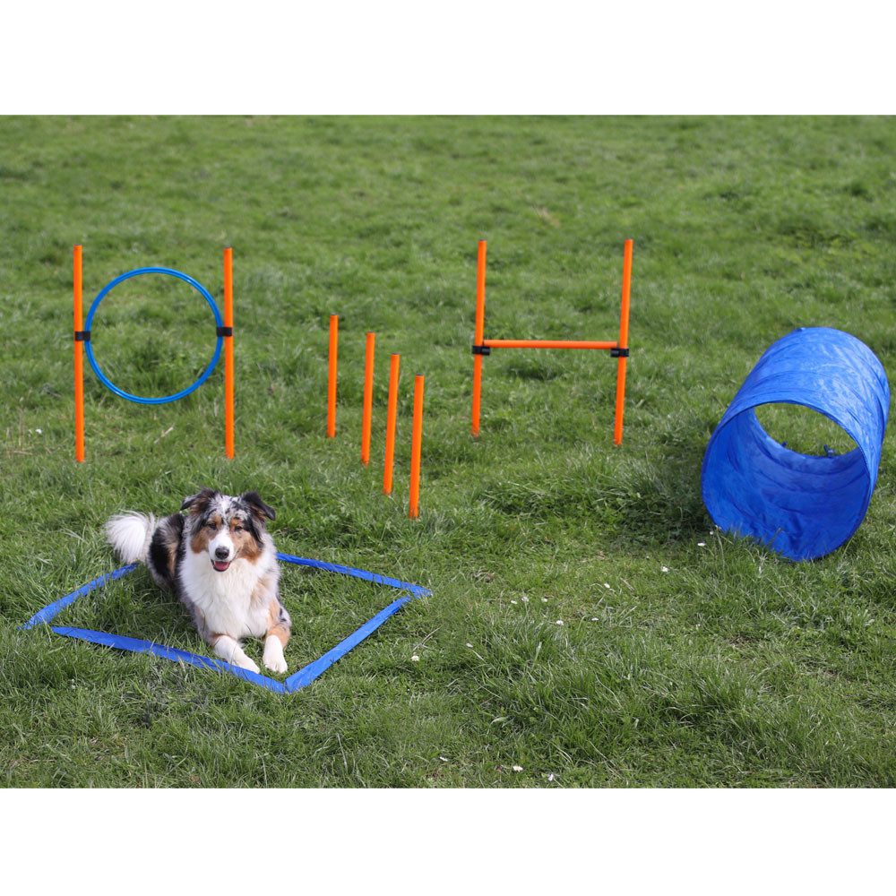 Procyon Agility-Hürde Dog Agility Starter Set X