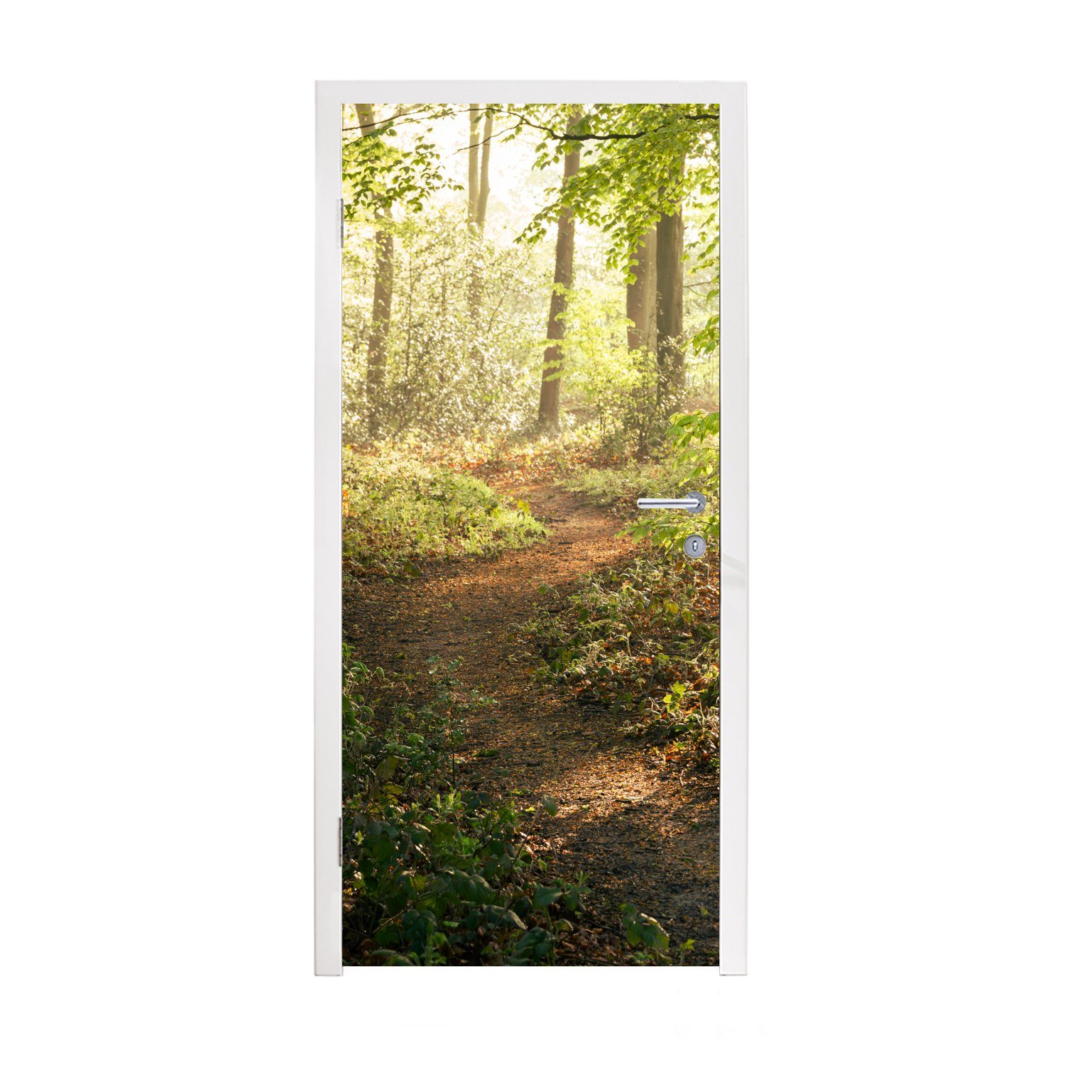 - Pflanzen bedruckt, - Türaufkleber, Laub St), - - Tür, Matt, für Sonne cm Natur, 75x205 Wald MuchoWow (1 Bäume Weg - Fototapete Türtapete -