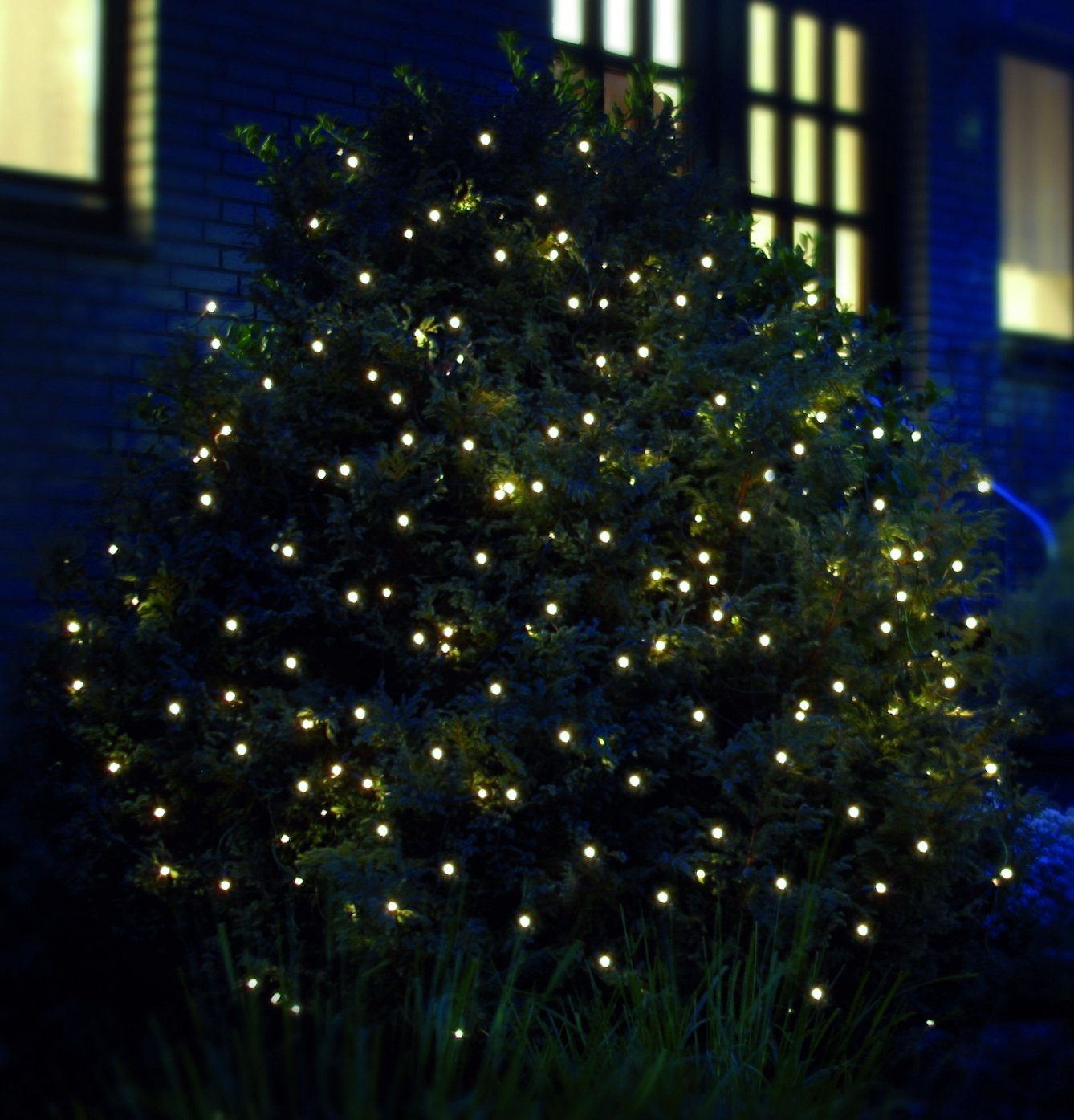 Star-Max LED-Lichternetz Weihnachtsdeko aussen, mit zahlreichen warmweißen LEDs, für den Außenbereich