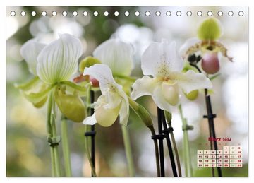 CALVENDO Wandkalender Schönste Orchideen (Tischkalender 2024 DIN A5 quer)