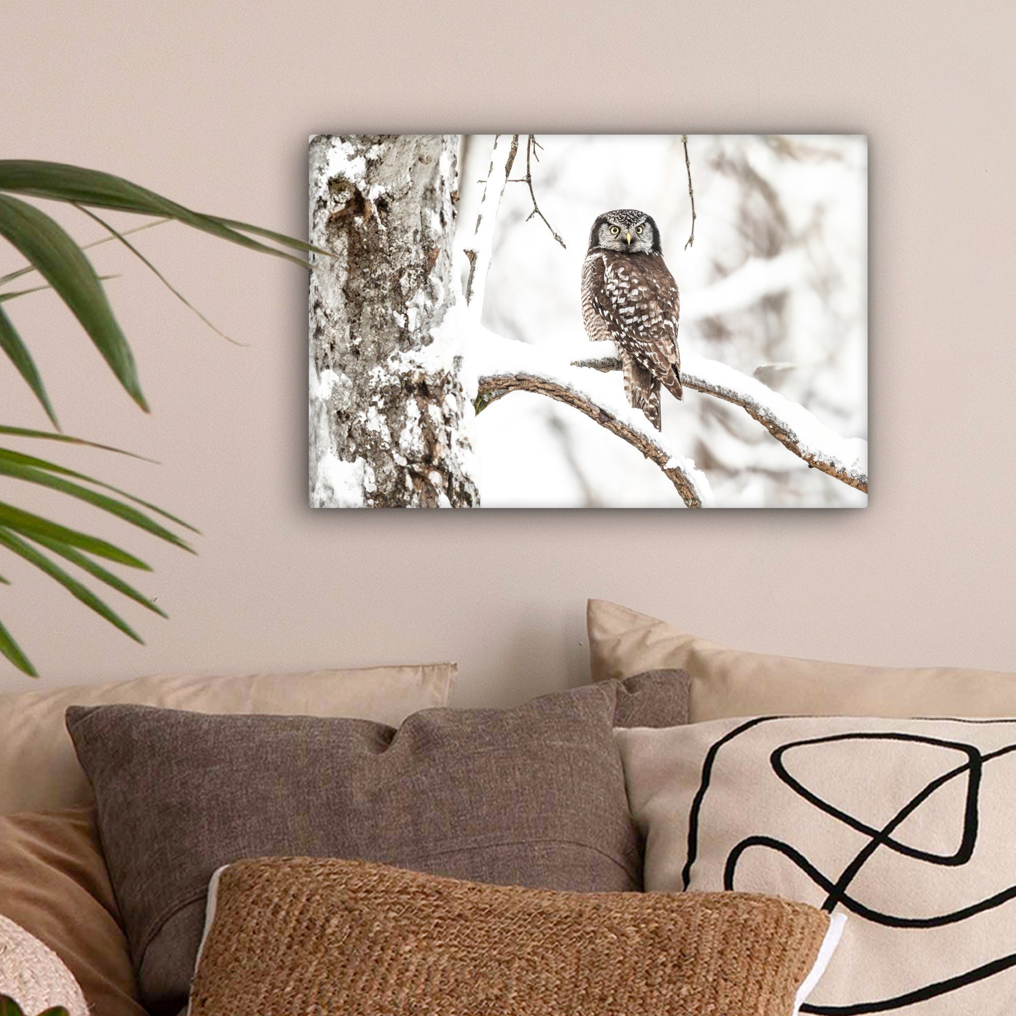 OneMillionCanvasses® Leinwandbild Eule - Schnee - Winter - Vögel - Porträt, günstig online kaufen