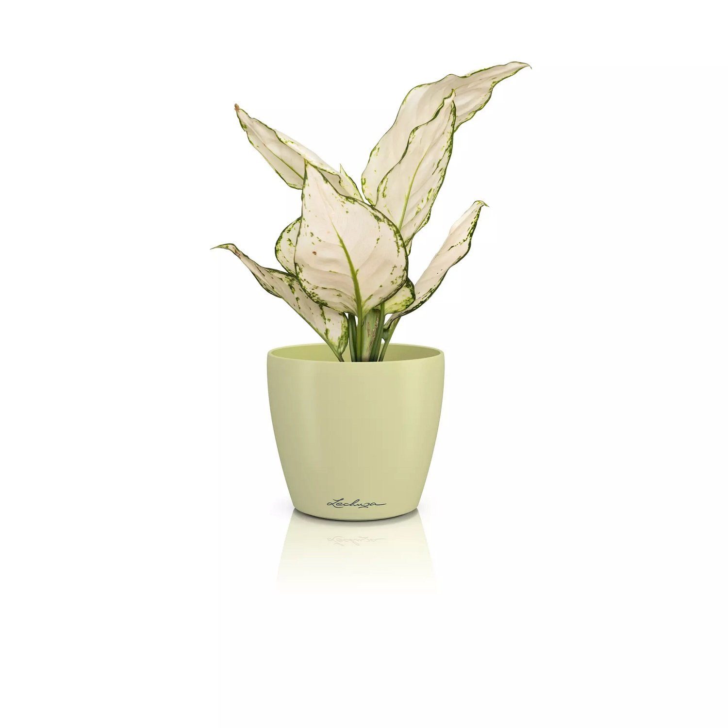 Lechuza® Übertopf Lechuza Übertopf Classico Color 12 DECO linde 1667