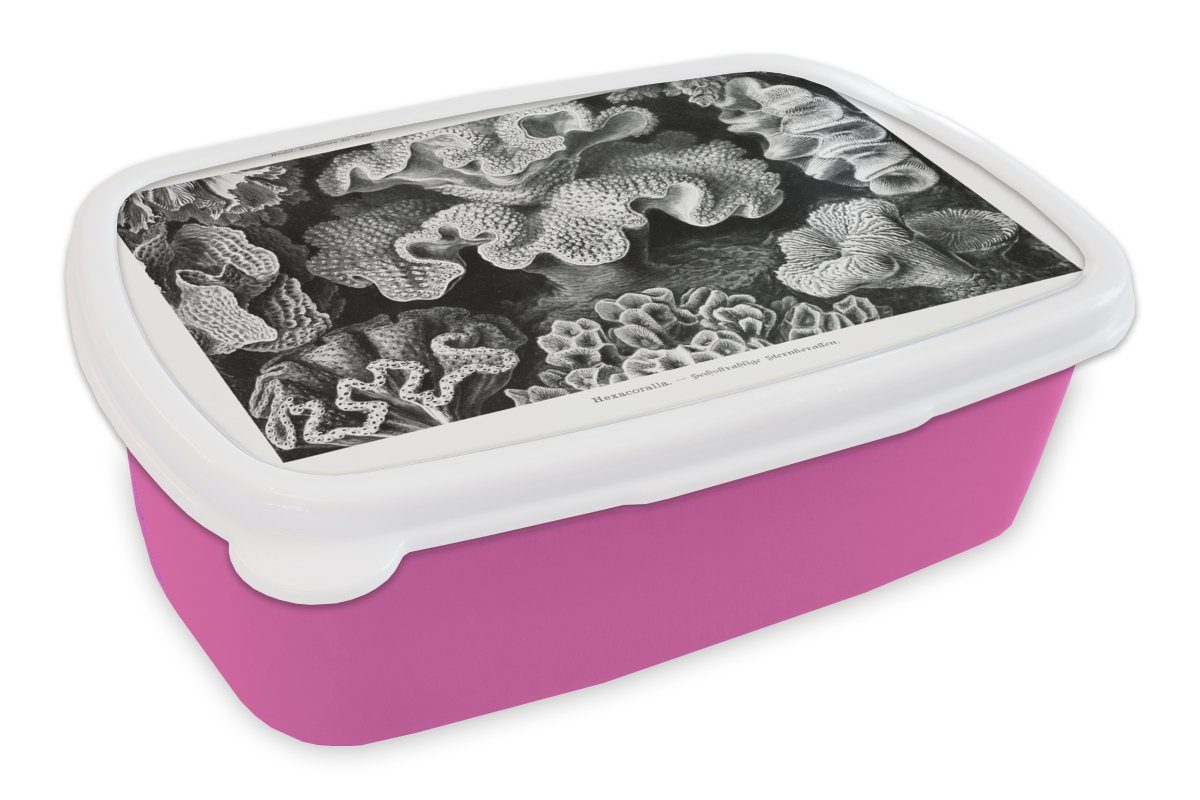 MuchoWow Lunchbox Kunst - Koralle - Ernst Haeckel - Alte Meister - Natur, Kunststoff, (2-tlg), Brotbox für Erwachsene, Brotdose Kinder, Snackbox, Mädchen, Kunststoff rosa