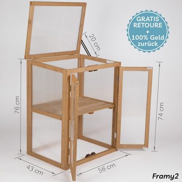 needs&wants® Gewächshaus Mini Treibhaus klein winterfest aus Holz, Balkon Garten Zimmer Indoor, Frühbeet Hochbeet Anzucht Aufzucht Pflanzen Pflanzschrank Anzuchthaus