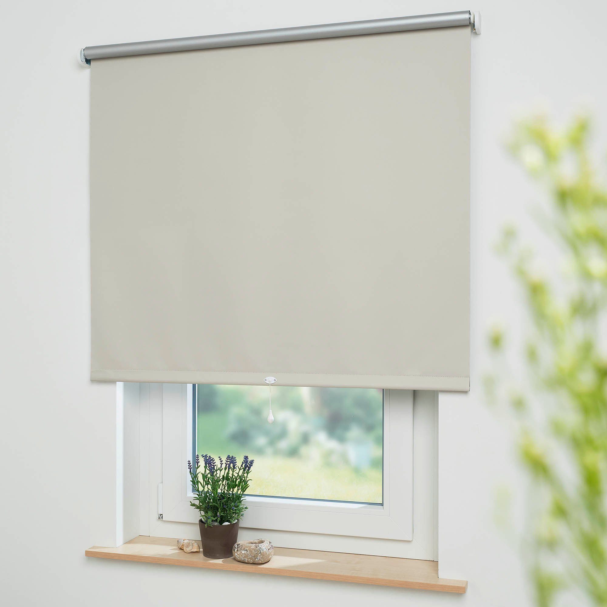 Springrollo Thermo-Rollo, Liedeco, verdunkelnd, freihängend, verschraubt, günstig online kaufen