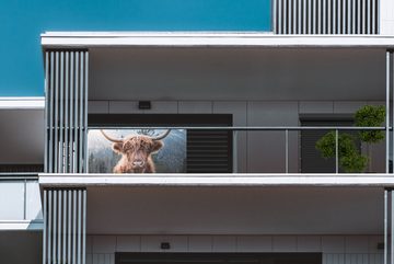 MuchoWow Balkonsichtschutz Schottischer Hochländer - Kuh - Tiere - Berg - Natur (1-St) Balkonbanner, Sichtschutz für den Balkon, Robustes und wetterfest