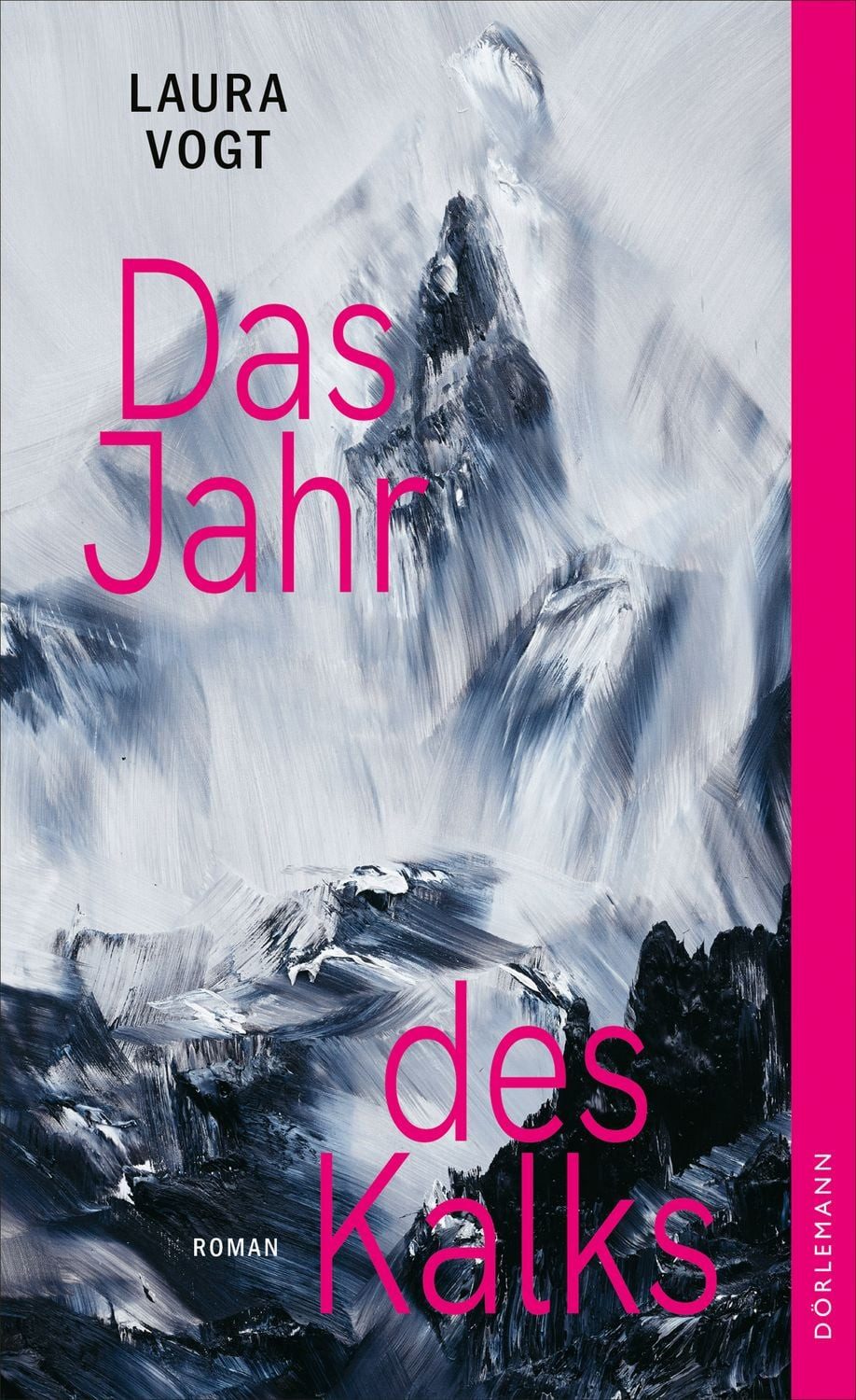 Das Jahr des Kalks / Laura Vogt