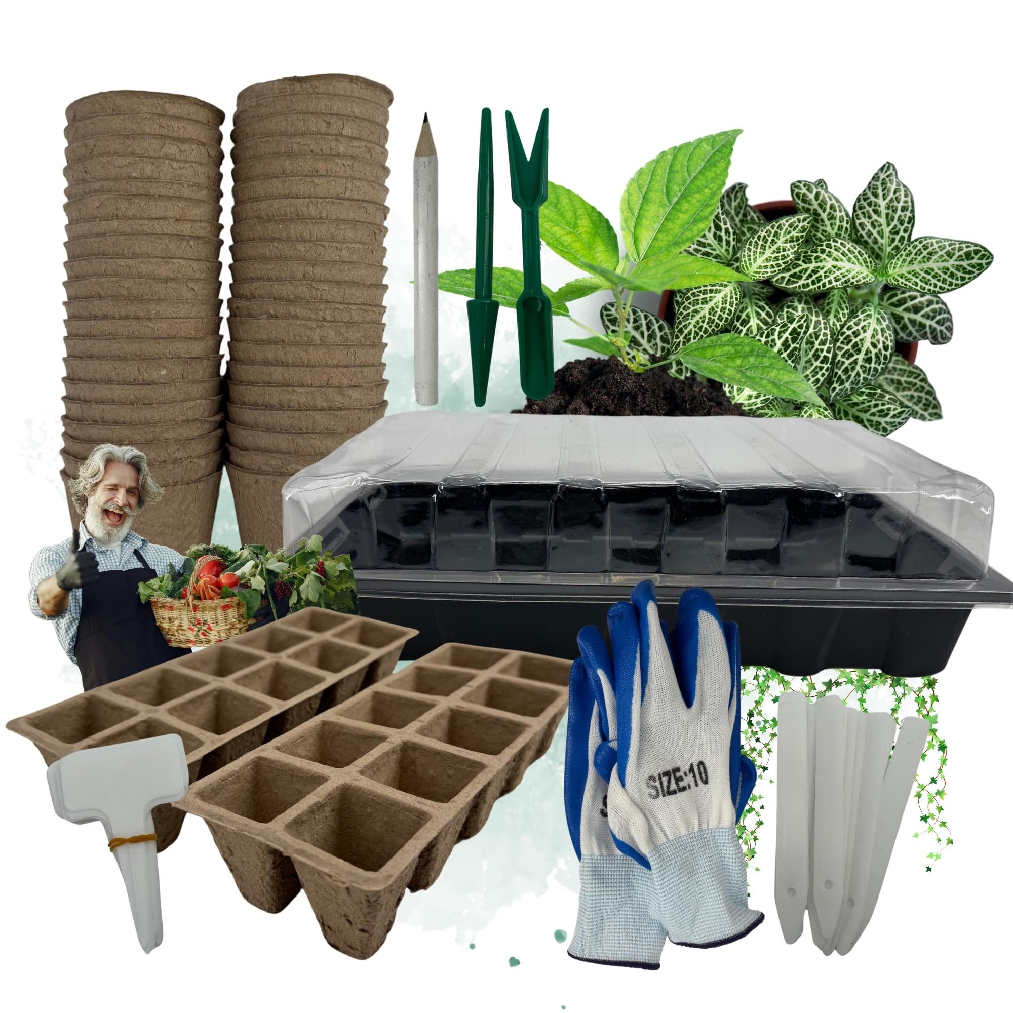 Anzuchttopf Zimmergewächshaus Anzuchtkasten Anzucht Set Starter + Pflanztöpfe