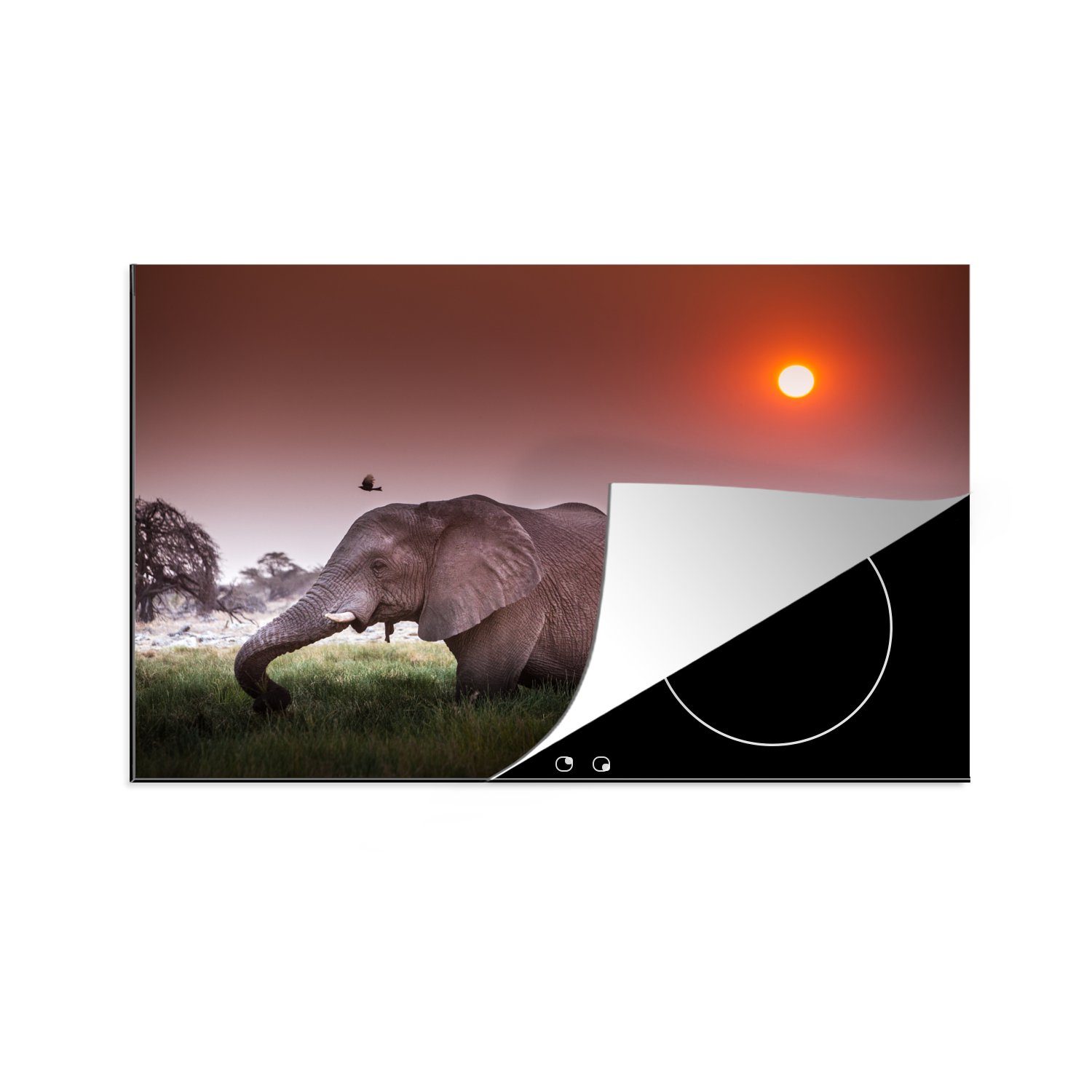 Herdblende-/Abdeckplatte Ceranfeldabdeckung - Elefant cm, Vinyl, - Tiere, für die Schutz küche, tlg), Induktionskochfeld Gras Sonne (1 MuchoWow 81x52 -